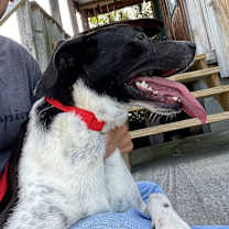 Thumbnail photo of Lucia #4