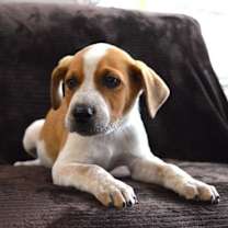 Thumbnail photo of Riggs #2