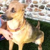 Thumbnail photo of Yvette #2