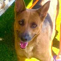 Thumbnail photo of Yvette #3