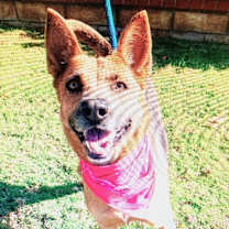 Thumbnail photo of Yvette #4