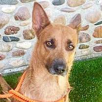 Thumbnail photo of Yvette #2