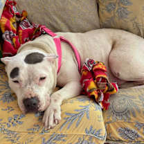 Thumbnail photo of Hazel Jane #3