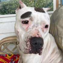 Thumbnail photo of Hazel Jane #4