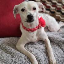 Thumbnail photo of Kany #4