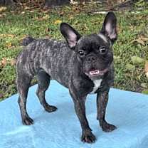 Thumbnail photo of Kirstie #1