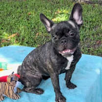 Thumbnail photo of Kirstie #2