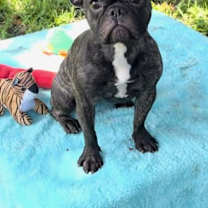 Thumbnail photo of Kirstie #3