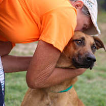 Thumbnail photo of Scooby #1