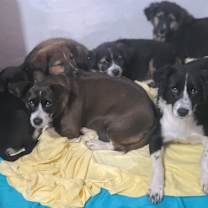 Thumbnail photo of Zury #3