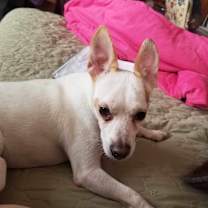 Thumbnail photo of Remy Pasqual #2