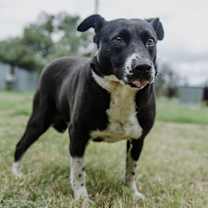 Thumbnail photo of Emma #1