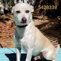 Thumbnail photo of Toby #4