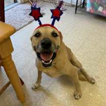 Thumbnail photo of Prince Romeo #1