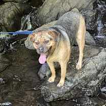 Thumbnail photo of Mila #4