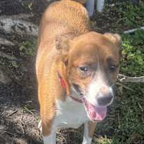 Thumbnail photo of Colton #1