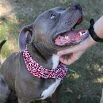 Thumbnail photo of Big boy #3