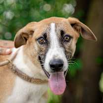 Thumbnail photo of Zuzano #1