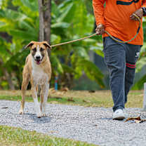 Thumbnail photo of Zuzano #3