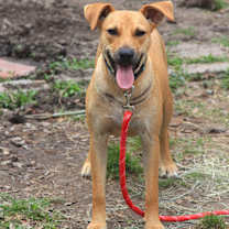 Thumbnail photo of Bauman "Bo" #3