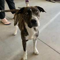 Thumbnail photo of Charlotte + #1