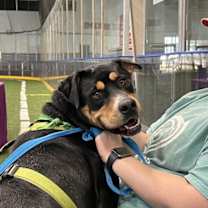 Thumbnail photo of Deeks #3