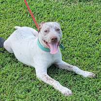 Thumbnail photo of Fritz #2