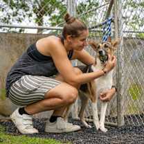 Thumbnail photo of Auretta #4