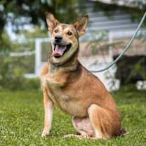 Thumbnail photo of Arandy #1