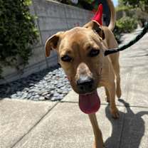 Thumbnail photo of Rita #2