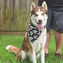 Thumbnail photo of Saint #3