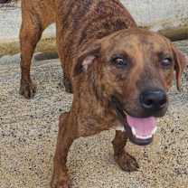 Thumbnail photo of Jimmy #4