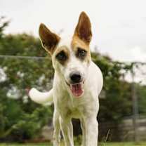 Thumbnail photo of Binam #1