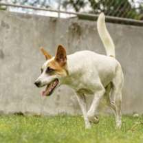 Thumbnail photo of Binam #2