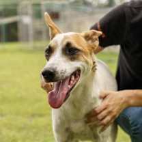 Thumbnail photo of Binam #3