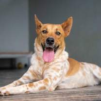 Thumbnail photo of Snowman #1