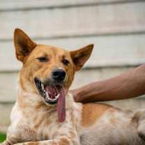 Thumbnail photo of Snowman #2