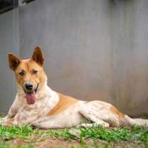 Thumbnail photo of Snowman #3