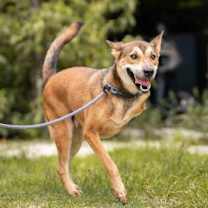 Thumbnail photo of Arandy #2