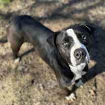 Thumbnail photo of Cash #2