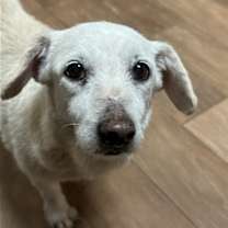 Thumbnail photo of Franny #1