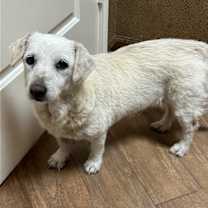 Thumbnail photo of Franny #2
