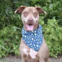 Thumbnail photo of Lucy #3