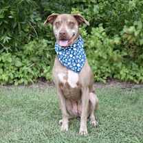 Thumbnail photo of Lucy #4