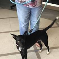 Thumbnail photo of Clover #1