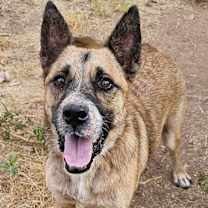 Thumbnail photo of Denver #1