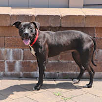 Thumbnail photo of Andrea #3