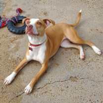 Thumbnail photo of Martini IN FOSTER #1