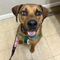 Thumbnail photo of John #1