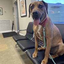 Thumbnail photo of John #2